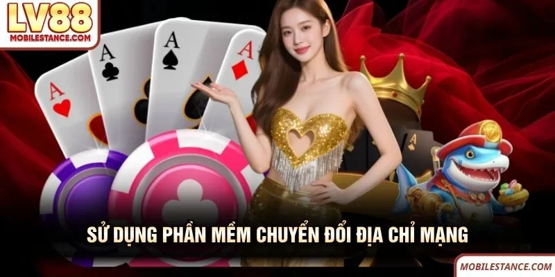  Sử dụng phần mềm chuyển đổi địa chỉ mạng LV88